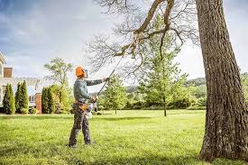 Best Hedge Trimming  in Kootenai, ID