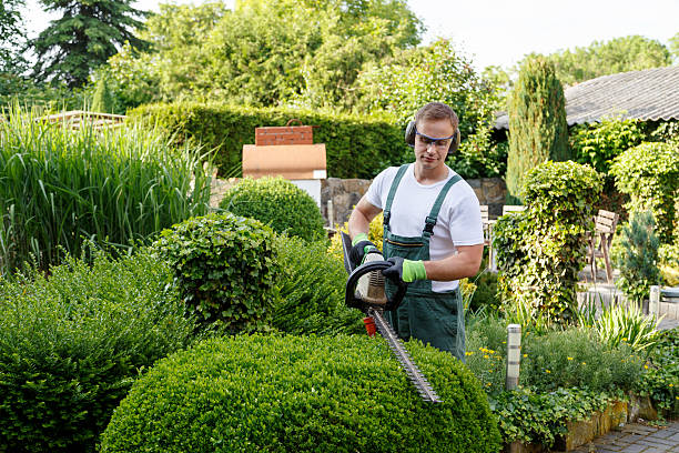 Best Lawn Pest Prevention  in Kootenai, ID